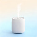 Quiet Cool-Mist Bedside Humidifier